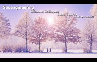 Geoengineering, Climate Collapse, Dead Leaves, And Defoliants ( Dane Wigington )