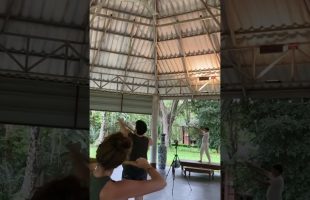 Morning Qigong in Tao Garden💜Welcome to Qigong Series in Thailand on November 10th-21st! #qigong