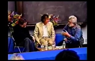 Terence Mckenna – The informational field of nature is conscious