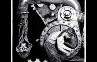 We Have Become Cogs In A Machine (Terence Mckenna)