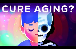 How to Cure Aging – During Your Lifetime?