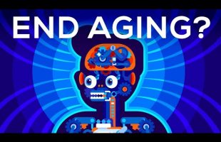 Why Age? Should We End Aging Forever?