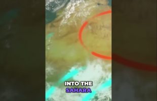 The Miracle Behind the Blossoming of the Ancient Sahara Desert