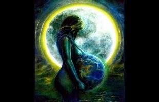 Peaceful solution to the world population problem (Terence Mckenna)