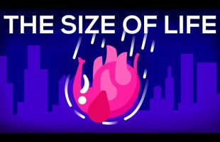 What Happens If We Throw an Elephant From a Skyscraper? Life & Size 1