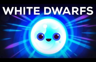 The Last Light Before Eternal Darkness – White Dwarfs & Black Dwarfs