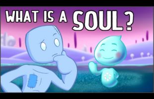 The Nature of the Soul…