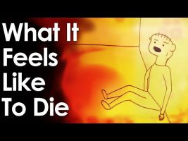 What It Feels Like To Die  (Animated Short)