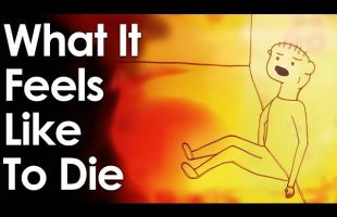 What It Feels Like To Die  (Animated Short)