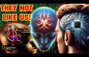 We’re NOT HUMANS & THIS PLACE ISN’T EARTH