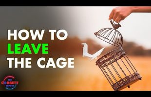 How to Leave the Cage – #SolutionsWatch