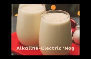 Alkaline Electric ‘Nog