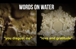 Scientists Are Speechless! The power of intention
