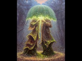 Terence Mckenna – To wind this up
