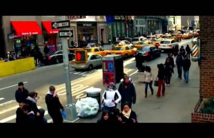 The Majesty of Life and Experiences – Joe Rogan