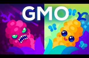 Are GMOs Good or Bad? Genetic Engineering & Our Food