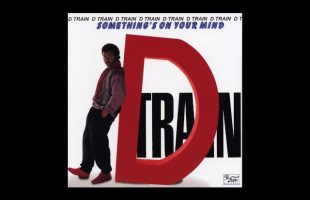 D Train – I Treasure Your Pleasure