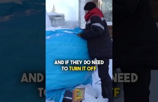 Their Cars Are All Frozen…