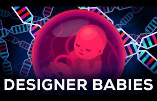 Genetic Engineering Will Change Everything Forever – CRISPR
