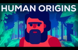 What Happened Before History? Human Origins