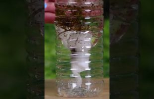 Clean Water Hack When Camping #Shorts