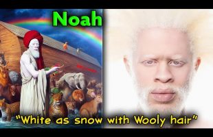 Pt. 16 – History or Myth // Was Noah an Albino & The Great Grand Son Of A “Nephilim” ???