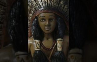 1839 Book (Crania Americana) “American Indians are a Brown Race” So called Black #trending #shorts