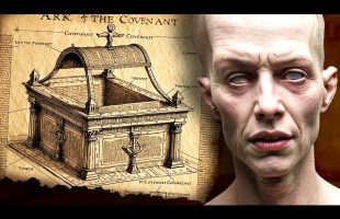 The Bible Coverup Situation Is Insane…