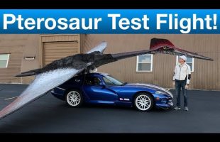 Test flying the World’s only full size Pterosaur, 38 foot