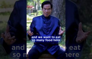 🌾Skip the grain to detoxify your body and promote healing. Taoist Pi Gu diet #mantakchia #darkroom