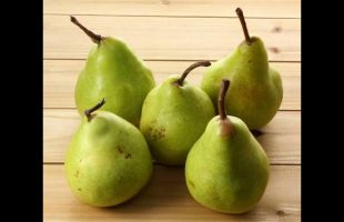 September Seasonal Produce