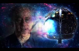 Only a Brain – A DMTRMX
