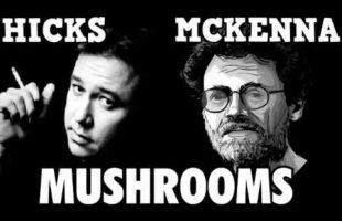 Bill Hicks & Terence McKenna talk Magic Mushrooms