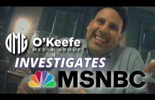 BREAKING: MSNBC Producer Admits MSNBC Is ‘Doing All They Can to Help’ the Harris Campaign
