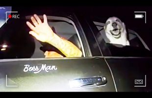 Police Find Passed Out Driver, Then He Suddenly Floors It