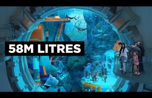 Why the World’s Biggest Aquarium is Being Built in Secret