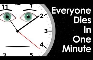 What If Everyone Died In 1 Minute?