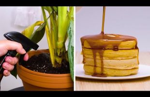 9 Clever Beer Hacks Everyone Should Know!! Easy DIYs and Life Hacks by Blossom