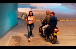 Incredible Road Moments Caught on Camera