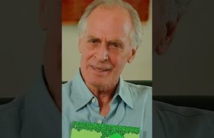 Why Keith Carradine loves ‘The Giving Tree’ — our latest read-aloud for #StorylineOnline! #shorts