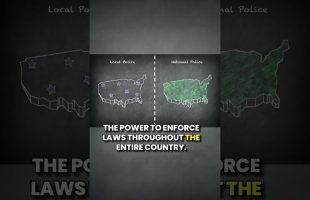 Local Police vs. National Police: 7 BIG Differences! 🚔 #shorts