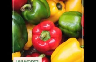 Top 10 Anti-Inflammatory Foods
