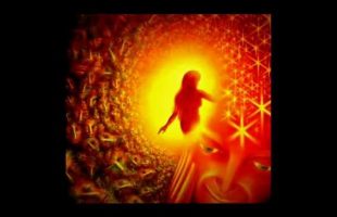 Awaken from the Culture Time For Change (Terence Mckenna, Joe Rogan)
