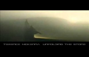 Terence Mckenna – The tranformation of the planet and the strange attractor