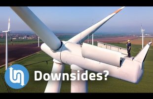 The truth about wind turbines – how bad are they?