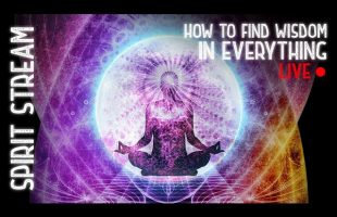How to Find Wisdom in Everything!