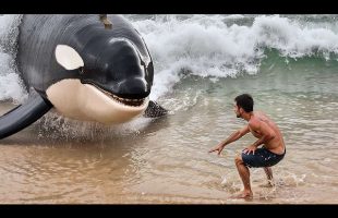 Incredible Moments Caught on Camera