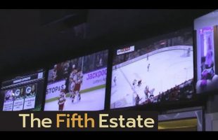 Sports betting in Canada: Are we making a bad gamble? – The Fifth Estate