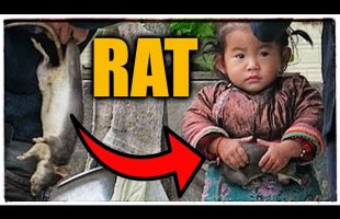Poor Chinese Girl eats RATS