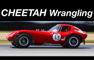 Own and Race a 1965 Bill Thomas Cheetah